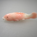 Koralle Fisch ca.12x48mm, mehr Details: klick