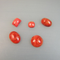 5 Schaumkoralle Cabochon
