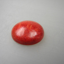 Sponge Coral cabochon ca.20mm