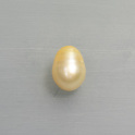 Südseeperle golden ca.11x15mm, mehr Details: klick