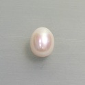 Südseeperle ca.12x15mm, mehr Details: klick