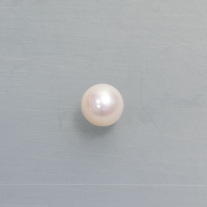 Süßwasserzuchtperle rund ca.8,5mm