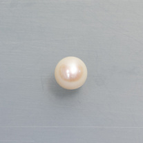 Süßwasserzuchtperle rund ca.10mm
